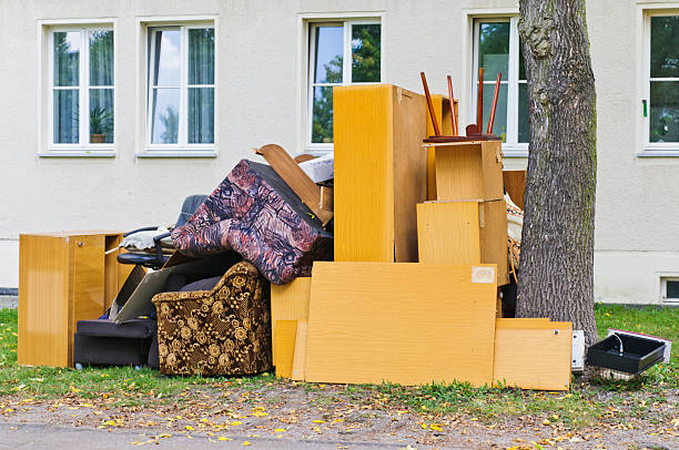 Best Shed Removal  in Princeton, MN